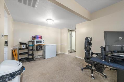 7005 Carriage Hill Drive Brecksville OH 44141
