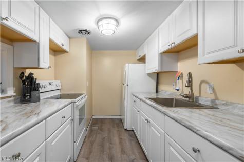 7005 Carriage Hill Drive Brecksville OH 44141