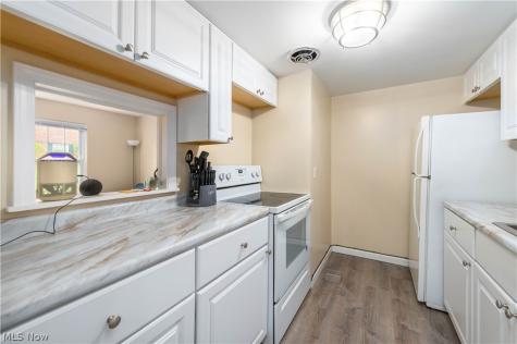 7005 Carriage Hill Drive Brecksville OH 44141