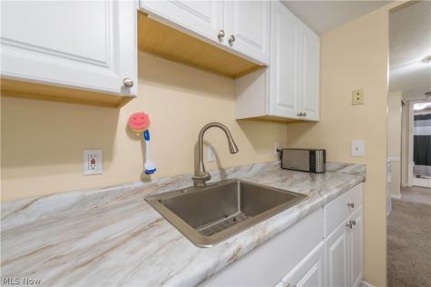 7005 Carriage Hill Drive Brecksville OH 44141