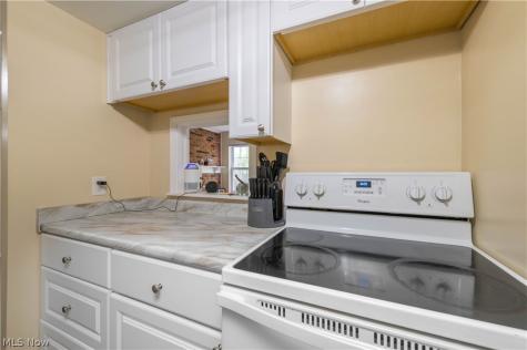7005 Carriage Hill Drive Brecksville OH 44141