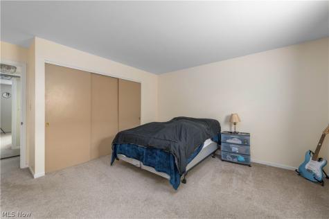 7005 Carriage Hill Drive Brecksville OH 44141