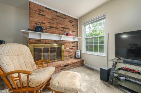 7005 Carriage Hill Drive Brecksville OH 44141