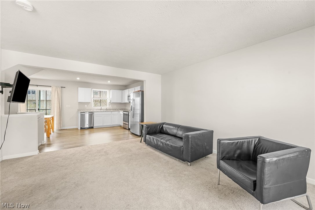 113 Palm Court Painesville OH 44077