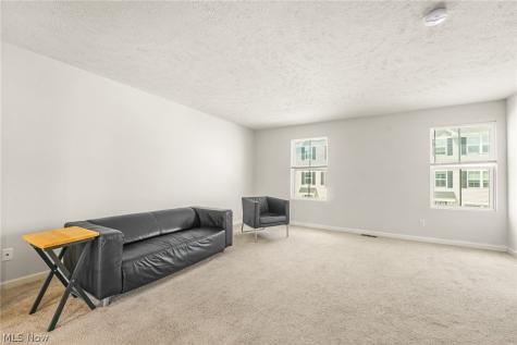 113 Palm Court Painesville OH 44077