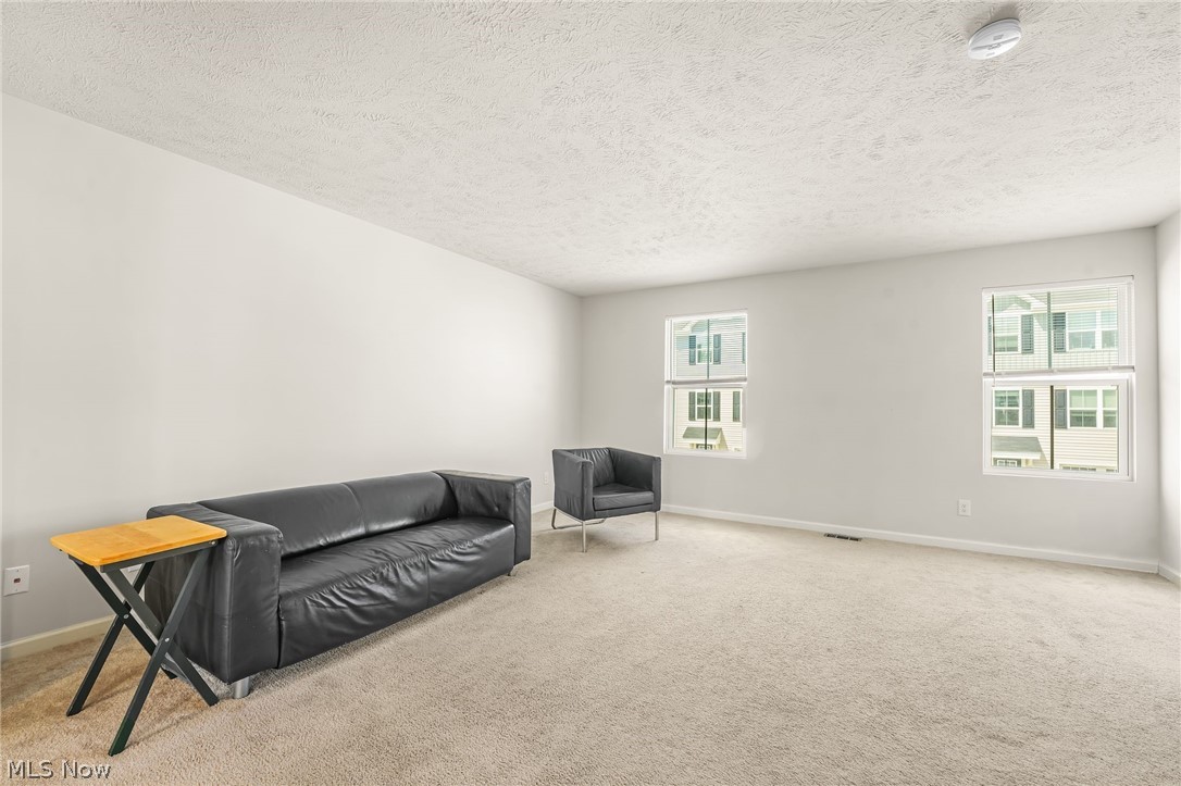 113 Palm Court Painesville OH 44077
