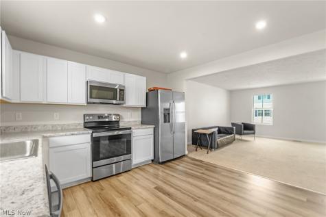 113 Palm Court Painesville OH 44077