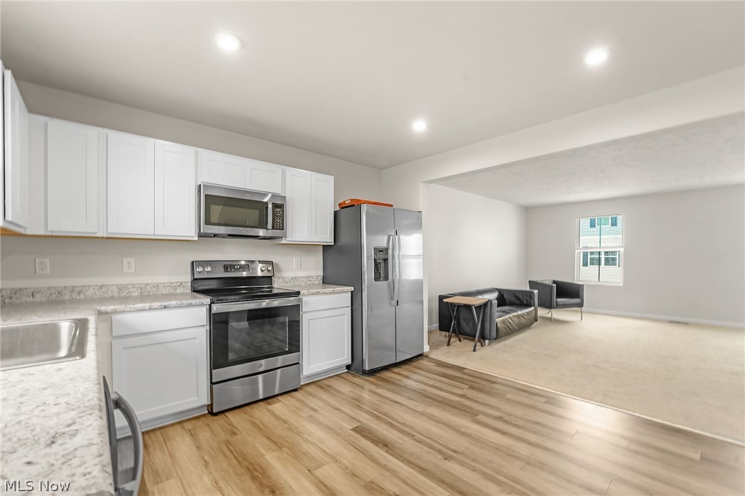 113 Palm Court Painesville OH 44077