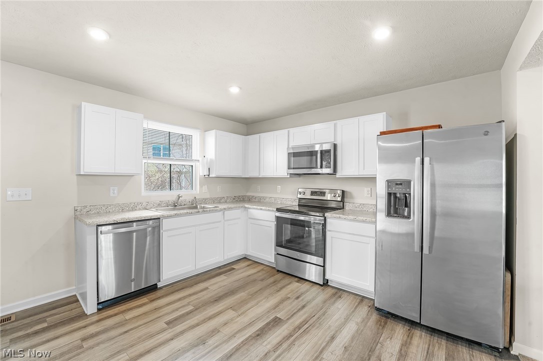 113 Palm Court Painesville OH 44077