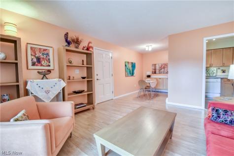 1 Meadowlawn Drive Mentor OH 44060