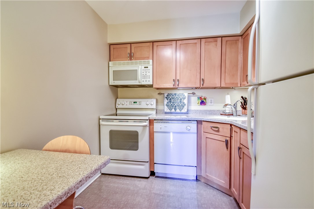 1 Meadowlawn Drive Mentor OH 44060