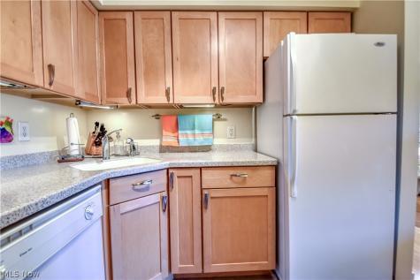 1 Meadowlawn Drive Mentor OH 44060