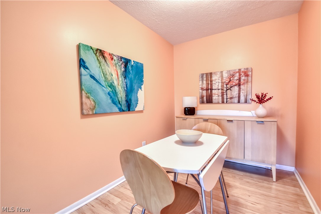 1 Meadowlawn Drive Mentor OH 44060