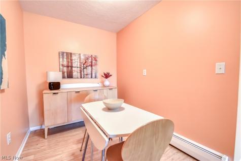 1 Meadowlawn Drive Mentor OH 44060