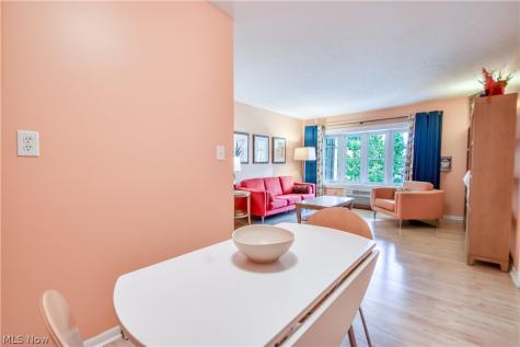 1 Meadowlawn Drive Mentor OH 44060