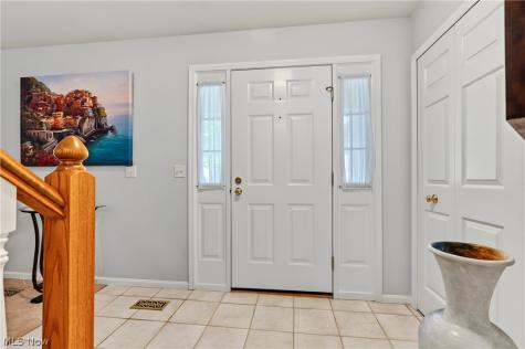 6198 Tiffin Court Mentor OH 44060