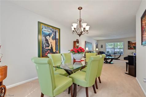 6198 Tiffin Court Mentor OH 44060