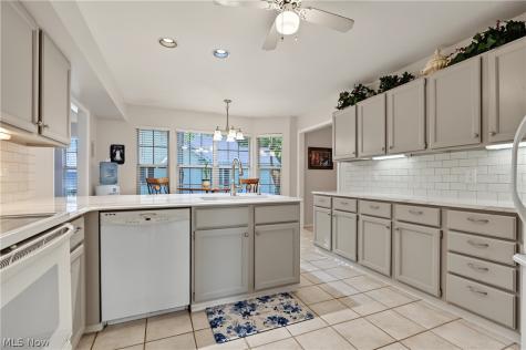 6198 Tiffin Court Mentor OH 44060