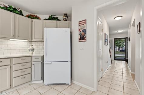 6198 Tiffin Court Mentor OH 44060