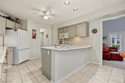 6198 Tiffin Court Mentor OH 44060