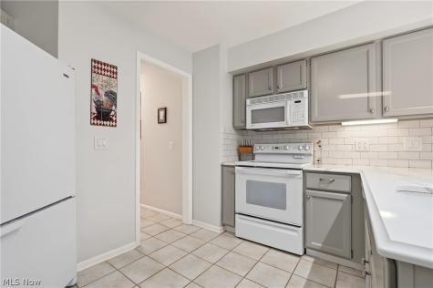 6198 Tiffin Court Mentor OH 44060
