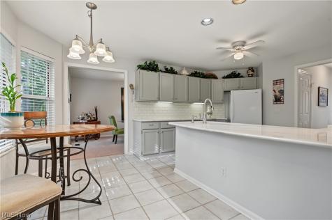 6198 Tiffin Court Mentor OH 44060