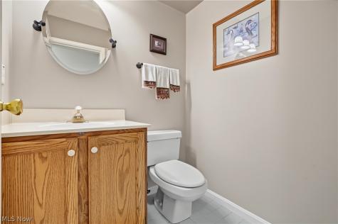 6198 Tiffin Court Mentor OH 44060
