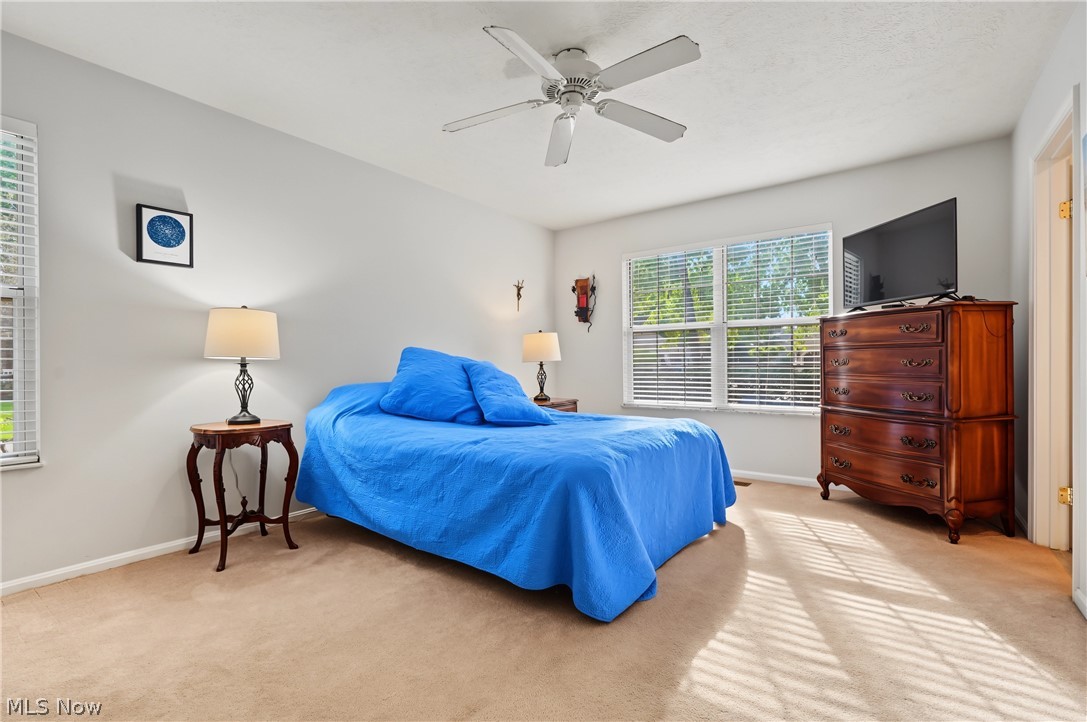 6198 Tiffin Court Mentor OH 44060