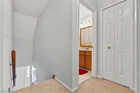6198 Tiffin Court Mentor OH 44060
