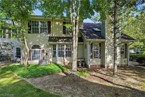 6198 Tiffin Court Mentor OH 44060