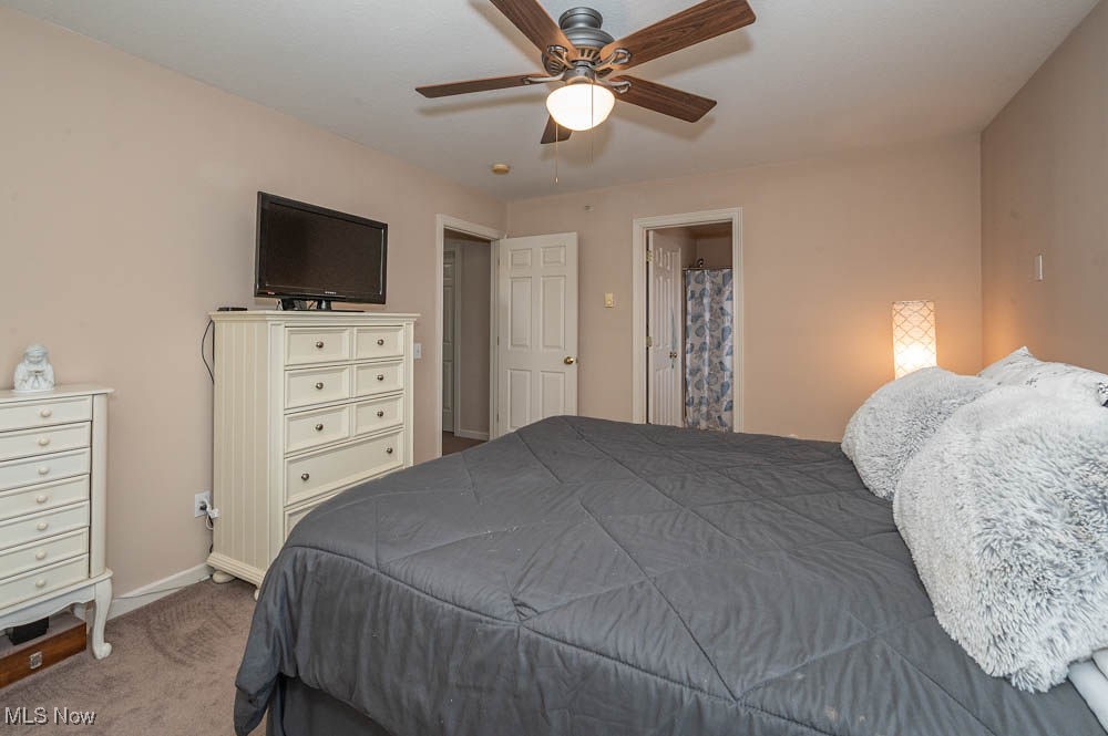 3649 Indian Run Drive Canfield OH 44406