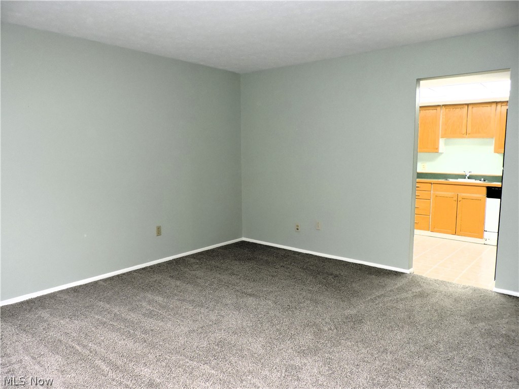 26740 Lake Of The Falls Boulevard Olmsted Falls OH 44138