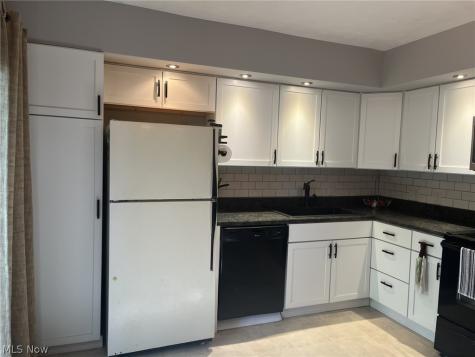 7368 Trailside Drive Northfield OH 44067