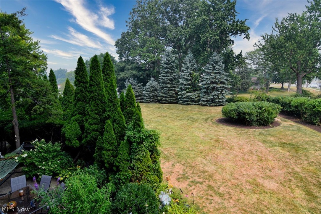 2202 Acacia Park Drive Lyndhurst OH 44124