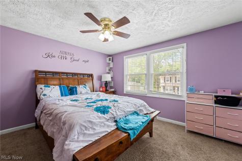 7390 Willow Run Drive Mentor OH 44060