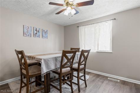 7390 Willow Run Drive Mentor OH 44060