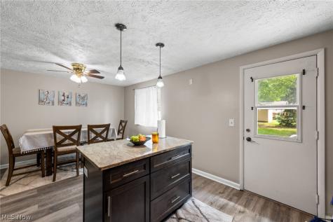 7390 Willow Run Drive Mentor OH 44060