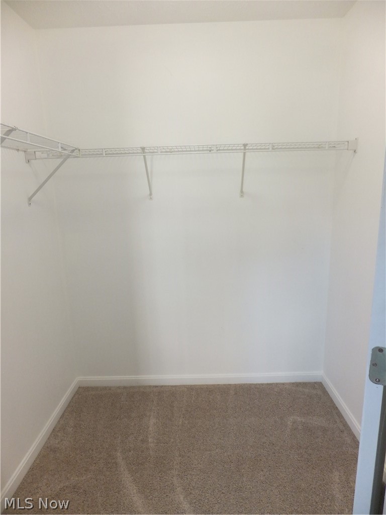 23004 Chandlers Lane Olmsted Falls OH 44138