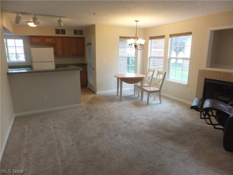 23004 Chandlers Lane Olmsted Falls OH 44138