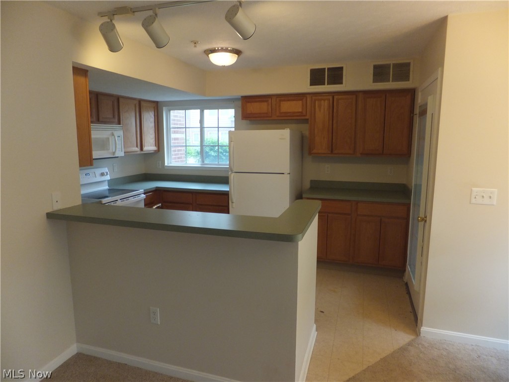 23004 Chandlers Lane Olmsted Falls OH 44138