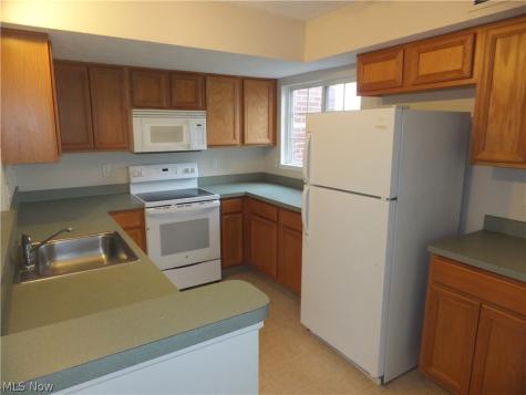 23004 Chandlers Lane Olmsted Falls OH 44138