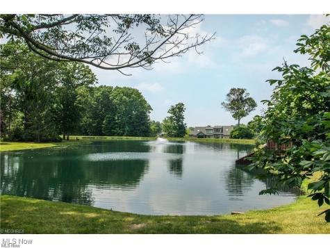 796 Pipes Court Sagamore Hills OH 44067
