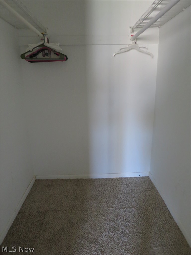 3241 Mayfield Road Cleveland Heights OH 44118