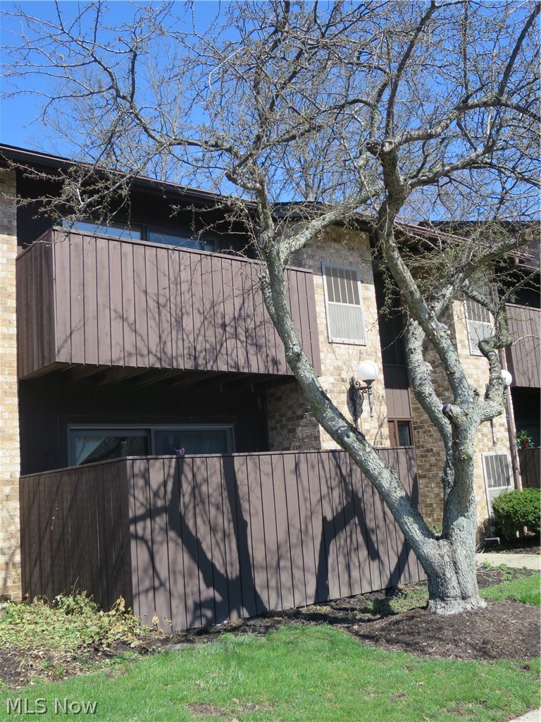 3241 Mayfield Road Cleveland Heights OH 44118