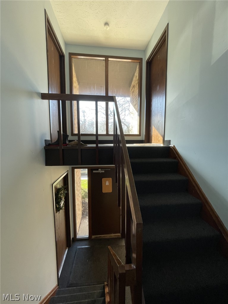 3241 Mayfield Road Cleveland Heights OH 44118