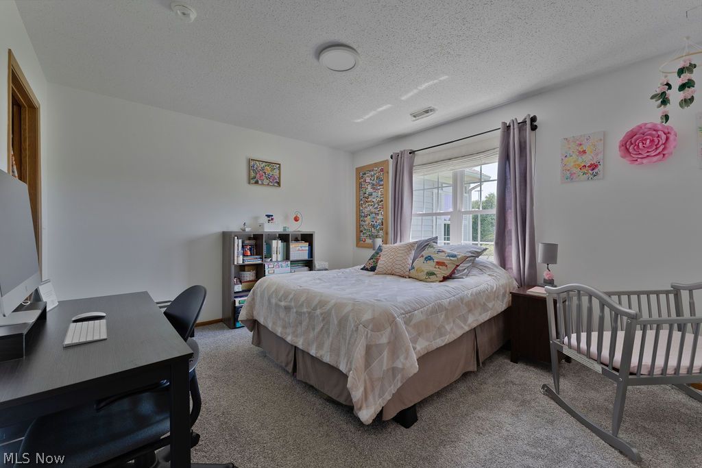 50 Stratford Green Drive Canfield OH 44406