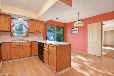 335 Chesapeake Cove Painesville OH 44077
