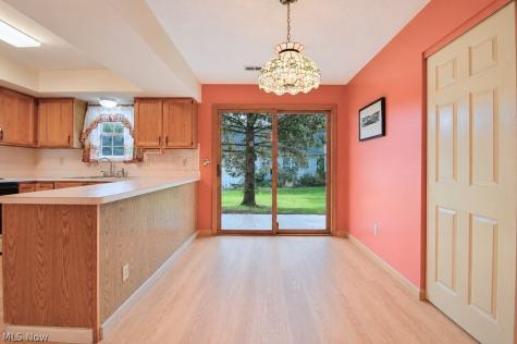 335 Chesapeake Cove Painesville OH 44077