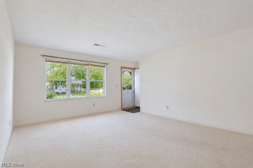335 Chesapeake Cove Painesville OH 44077