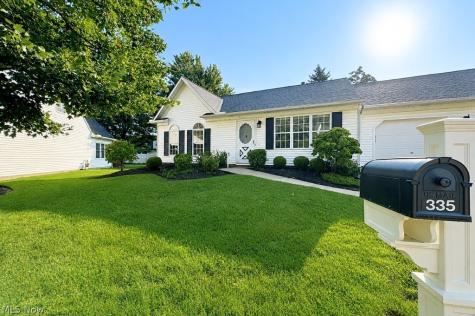 335 Chesapeake Cove Painesville OH 44077